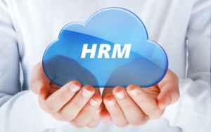 Cloud Computing and Its Myriad Impact on Human Resources