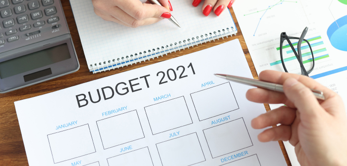 Budget 2021-India Employer Forum