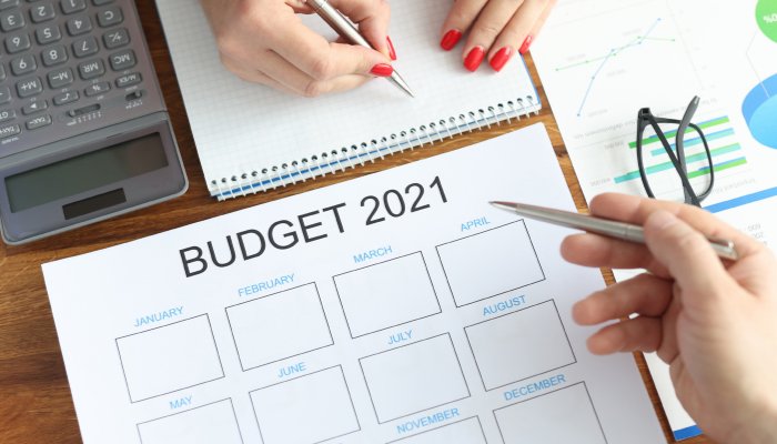Union Budget 2021 - India Employer Forum