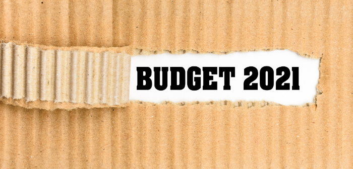 Budget 2021-India Employer Forum