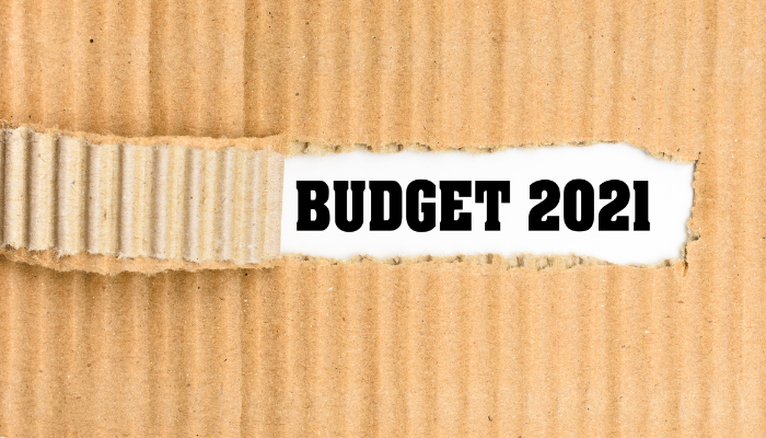 Budget 2021-India Employer Forum