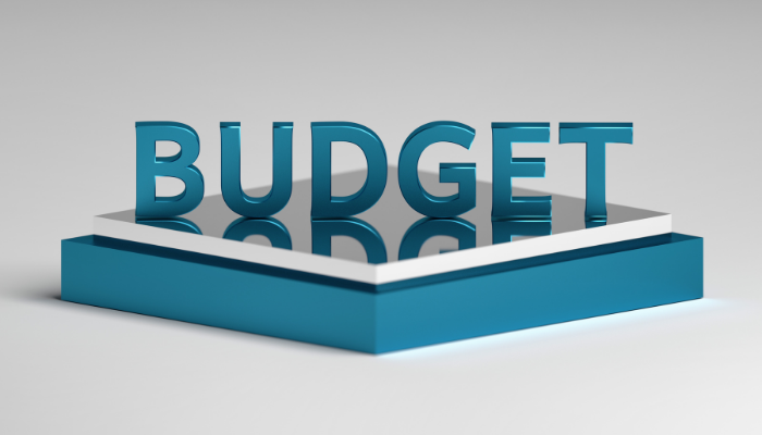 Budget-2021-India-Employer-Forum