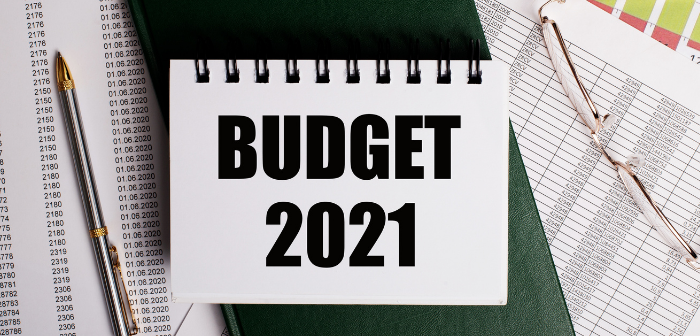 Budget 2021 - India Employer Forum