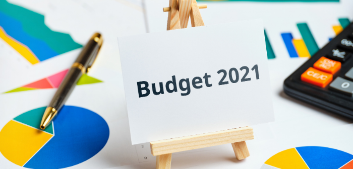 Union Budget 2021 - India Employer Forum