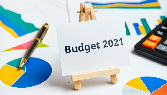 Union Budget 2021 - India Employer Forum